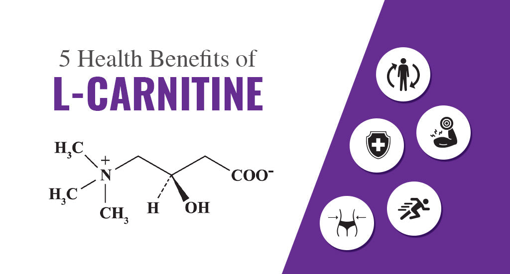 what is the healthbenefits of l-carnitine for 5 Health Benefits Choose Your Bundle:16oz | 10 Pack Motivation Is Affected by research dilution water