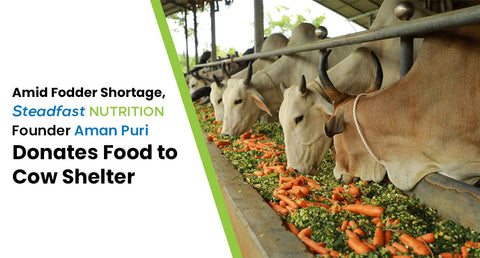Amid Fodder Shortage, Steadfast Nutrition Founder Aman Puri Donates Food to Cow Shelter