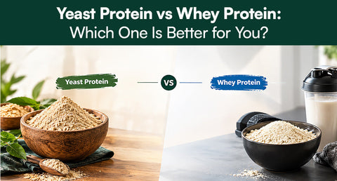 Yeast Protein vs Whey Protein: Which One Is Better for You?  
