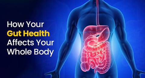 How Your Gut Health Affects Your Whole Body — And How to Maintain It