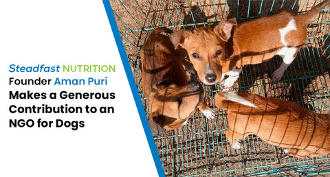 Steadfast Nutrition Founder Aman Puri Makes a Generous Contribution to an NGO for Dogs