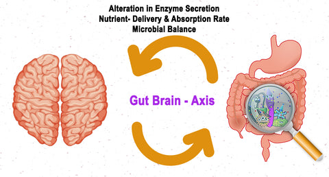 STRESS AND ITS EFFECT ON THE GASTROINTESTINAL (GI) TRACT