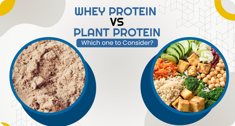 DIFFERENCE BETWEEN WHEY PROTEIN AND PLANT PROTEIN