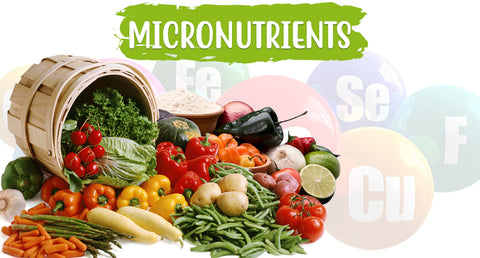 Micronutrients for a Healthy You