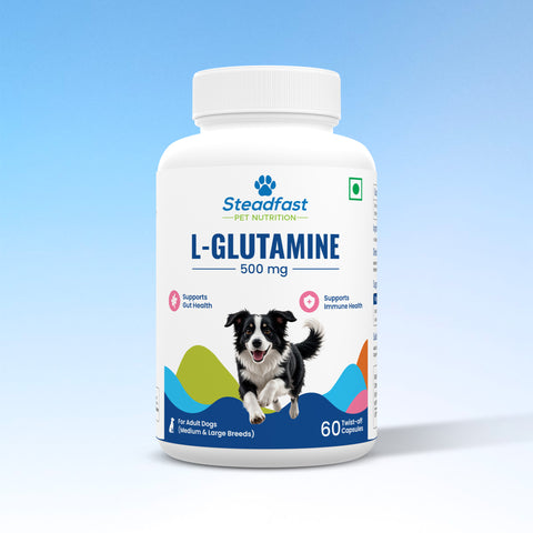 L-Glutamine 