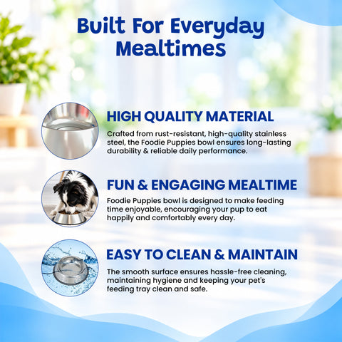 Sized Just Right Made For Everyday Mealtimes