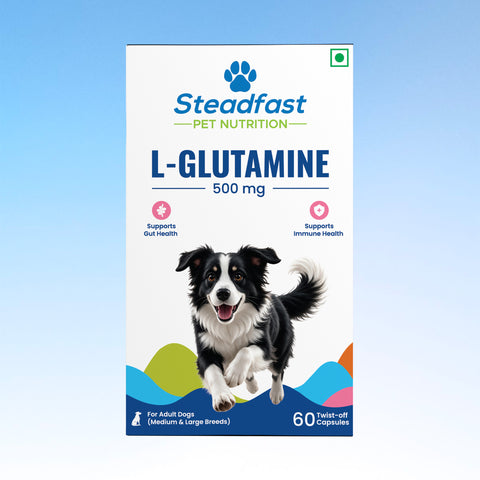 L-Glutamine 