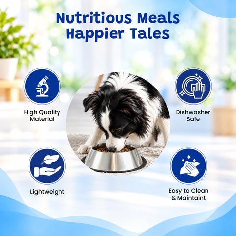 Sized Just Right Made For Everyday Mealtimes