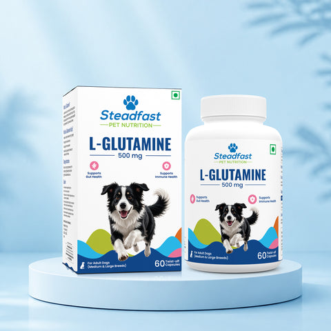 L-Glutamine 