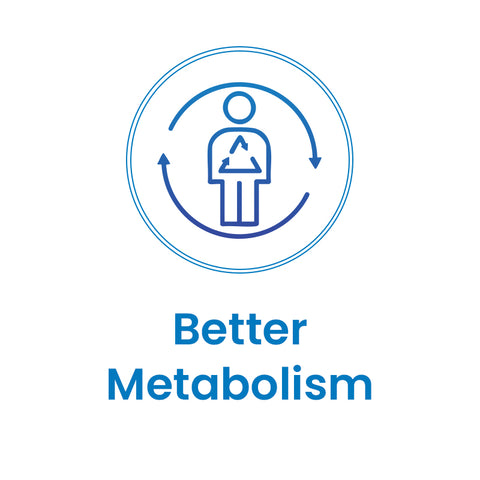 Better Metabolism