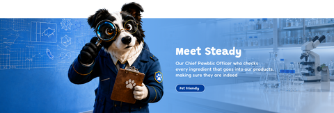Meet Steady 