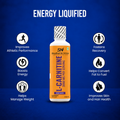 L-Carnitine USP