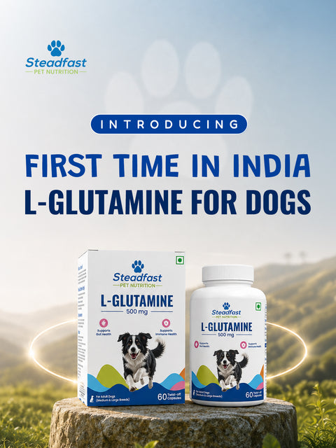 First Time in India L-Glutamine for dogs 