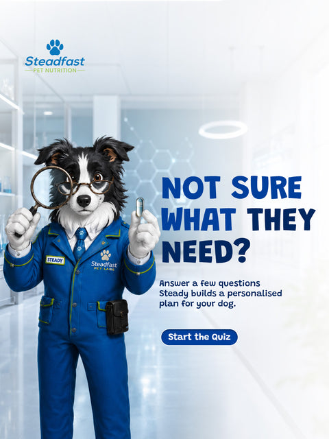 Not Sure what they need ?