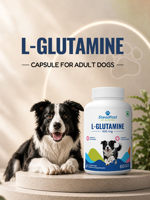 L-Glutamine - Capsule for adult Dogs 