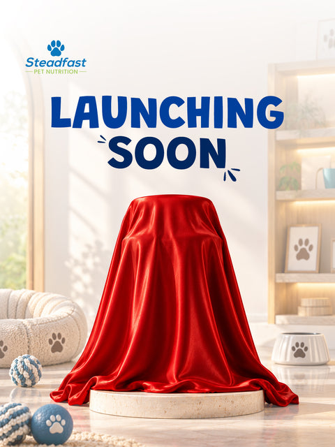 Lunching Soon 