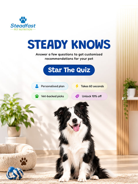 Steady Knows 