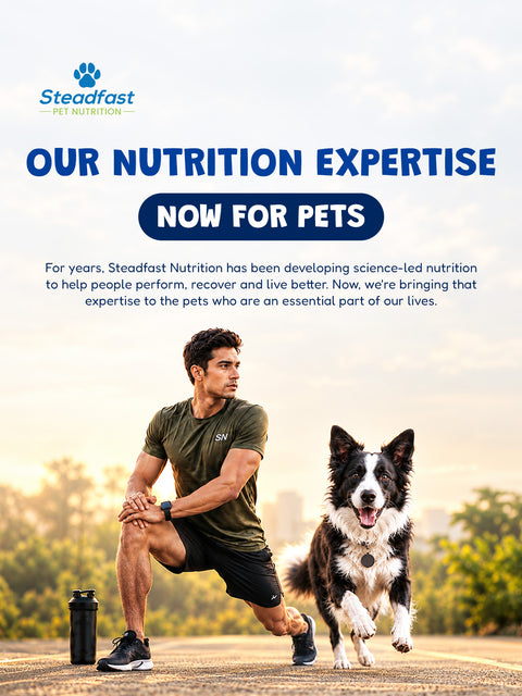 Our Nutrition Expertise - Now for Pet 