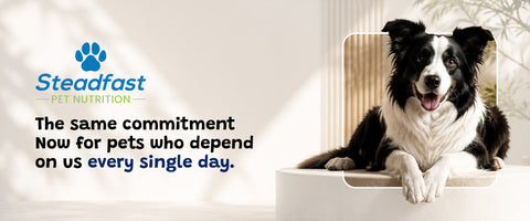 The same commitment now for pets who depends on us every single days.