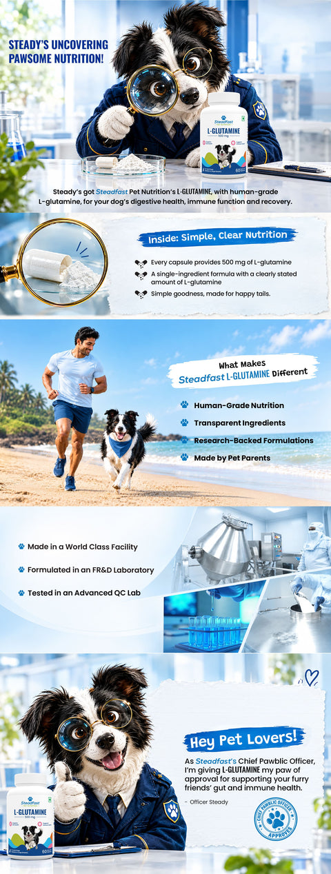 Product Overview