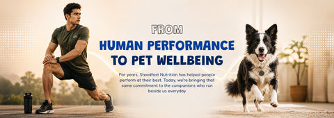 Human Performance to pet wellbeing 