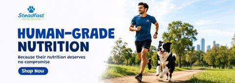 Human-Grade Nutrition 