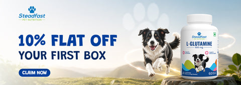 10% flat off your first box