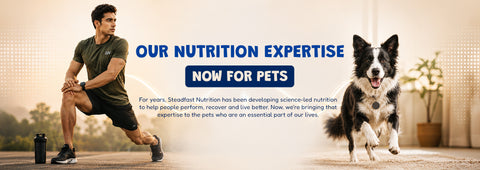 Our Nutrition Expertise 