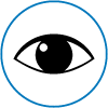 Icon 5